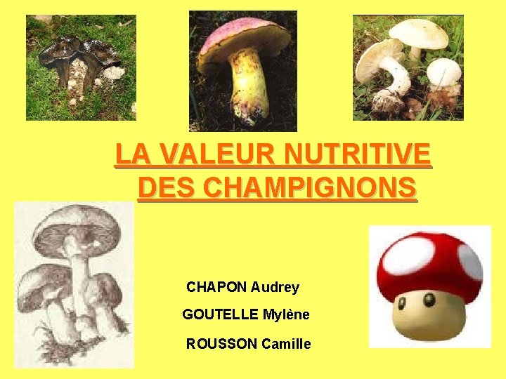 LA VALEUR NUTRITIVE DES CHAMPIGNONS CHAPON Audrey GOUTELLE Mylène ROUSSON Camille 