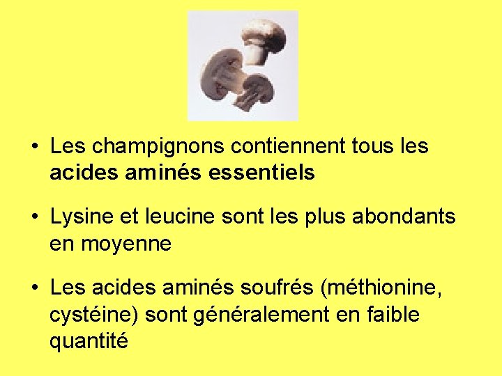  • Les champignons contiennent tous les acides aminés essentiels • Lysine et leucine