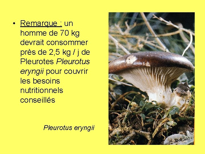  • Remarque : un homme de 70 kg devrait consommer près de 2,