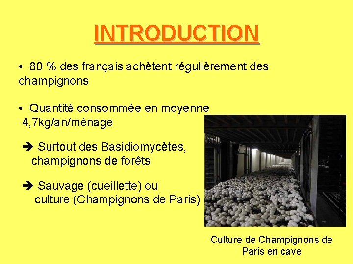 INTRODUCTION • 80 % des français achètent régulièrement des champignons • Quantité consommée en