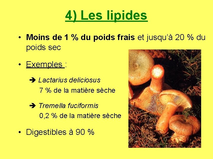 4) Les lipides • Moins de 1 % du poids frais et jusqu’à 20