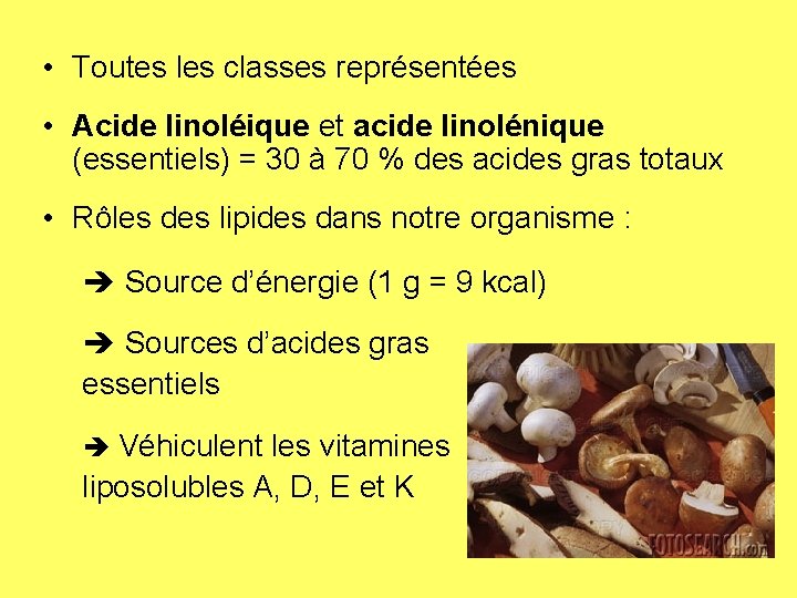  • Toutes les classes représentées • Acide linoléique et acide linolénique (essentiels) =