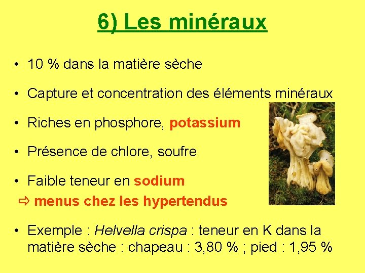 6) Les minéraux • 10 % dans la matière sèche • Capture et concentration
