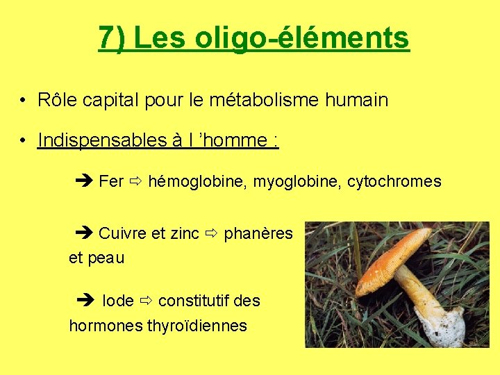 7) Les oligo-éléments • Rôle capital pour le métabolisme humain • Indispensables à l