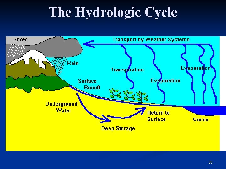 The Hydrologic Cycle 20 