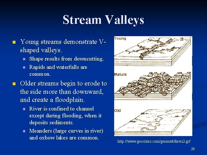 Stream Valleys n Young streams demonstrate Vshaped valleys. n n n Shape results from