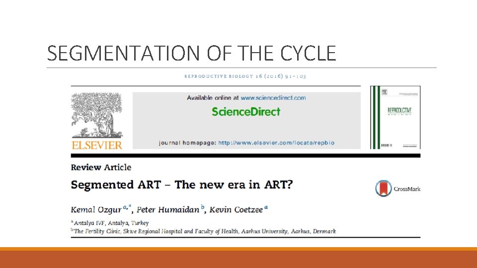 SEGMENTATION OF THE CYCLE 