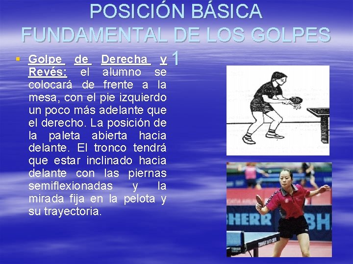 POSICIÓN BÁSICA FUNDAMENTAL DE LOS GOLPES § Golpe de Derecha y 1 Revés: el POSICIÓN BÁSICA FUNDAMENTAL DE LOS GOLPES § Golpe de Derecha y 1 Revés: el