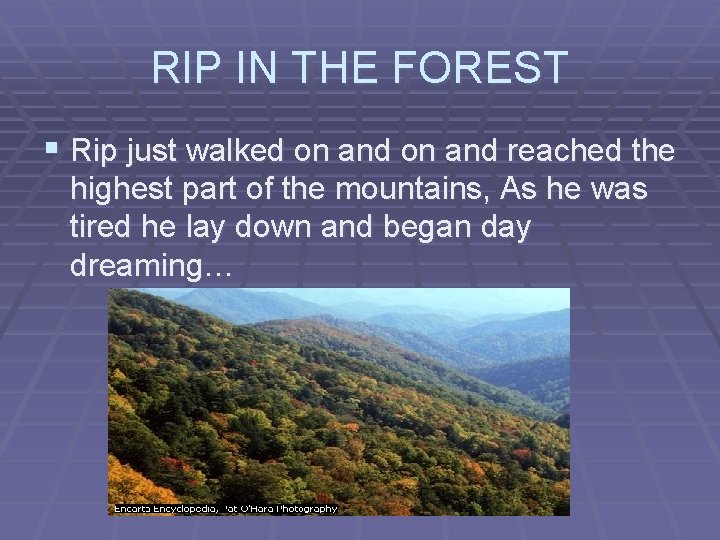 RIP IN THE FOREST § Rip just walked on and reached the highest part