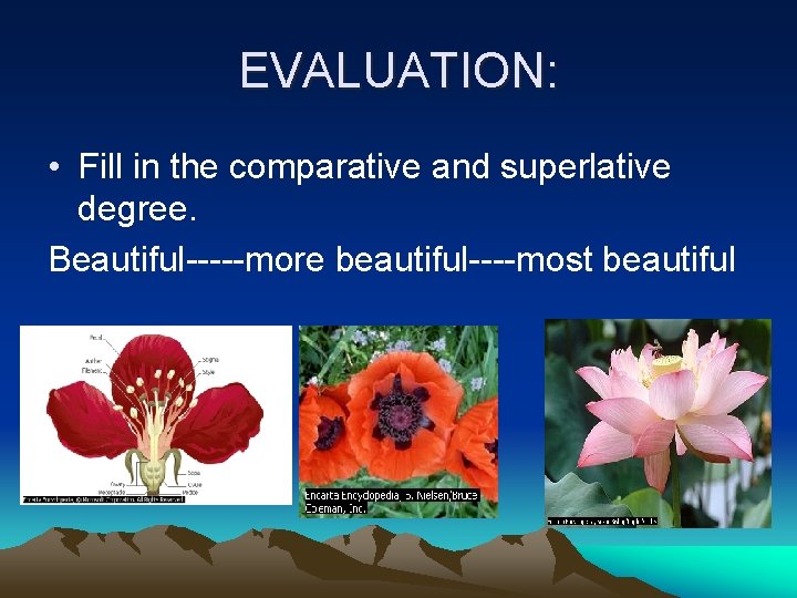 EVALUATION: • Fill in the comparative and superlative degree. Beautiful-----more beautiful----most beautiful 