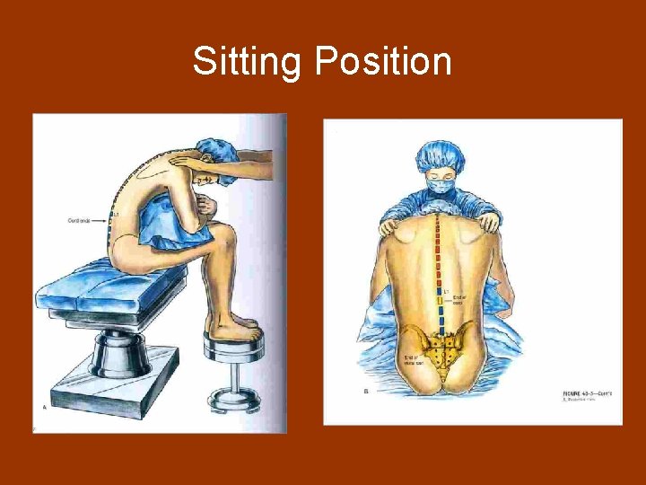 Sitting Position 