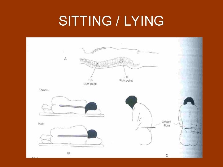 SITTING / LYING 