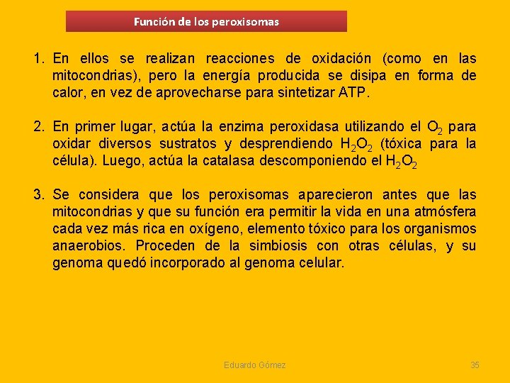Función de los peroxisomas 1. En ellos se realizan reacciones de oxidación (como en Función de los peroxisomas 1. En ellos se realizan reacciones de oxidación (como en