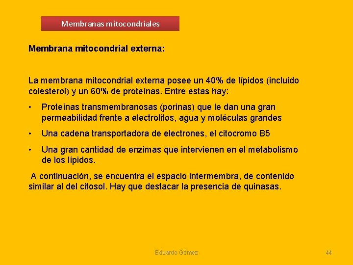 Membranas mitocondriales Membrana mitocondrial externa: La membrana mitocondrial externa posee un 40% de lípidos Membranas mitocondriales Membrana mitocondrial externa: La membrana mitocondrial externa posee un 40% de lípidos