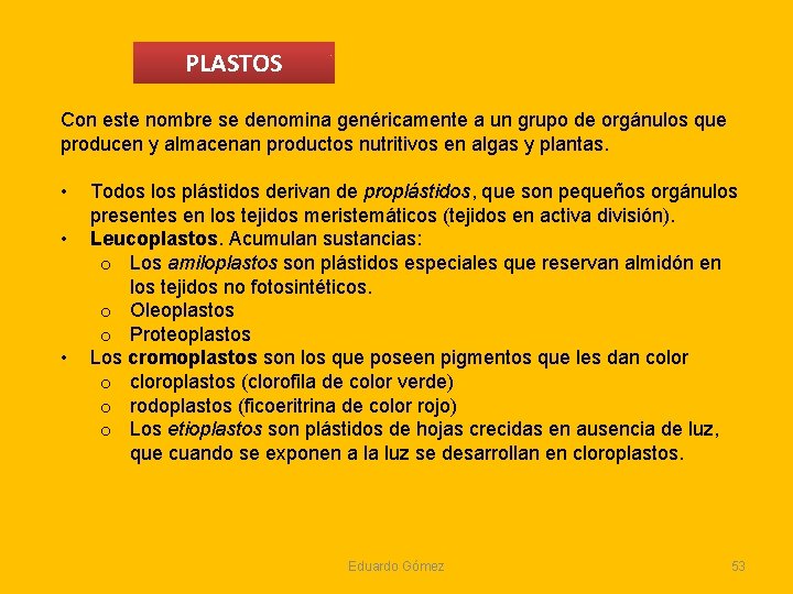 PLASTOS Con este nombre se denomina genéricamente a un grupo de orgánulos que producen PLASTOS Con este nombre se denomina genéricamente a un grupo de orgánulos que producen