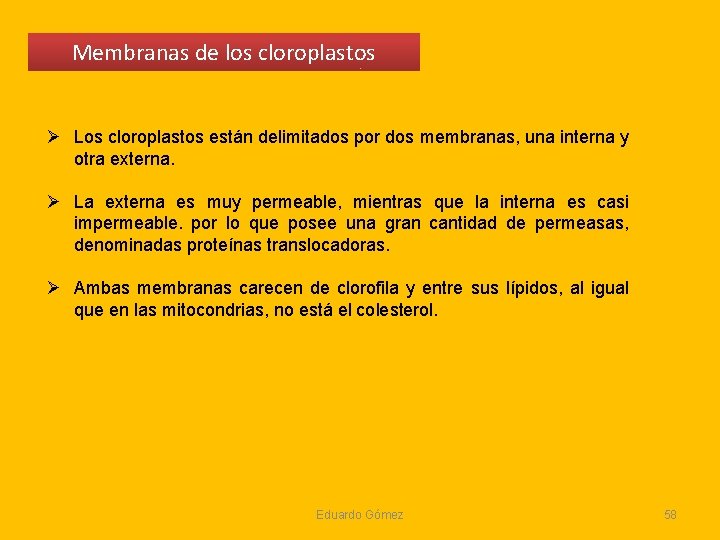 Membranas de los cloroplastos Ø Los cloroplastos están delimitados por dos membranas, una interna Membranas de los cloroplastos Ø Los cloroplastos están delimitados por dos membranas, una interna