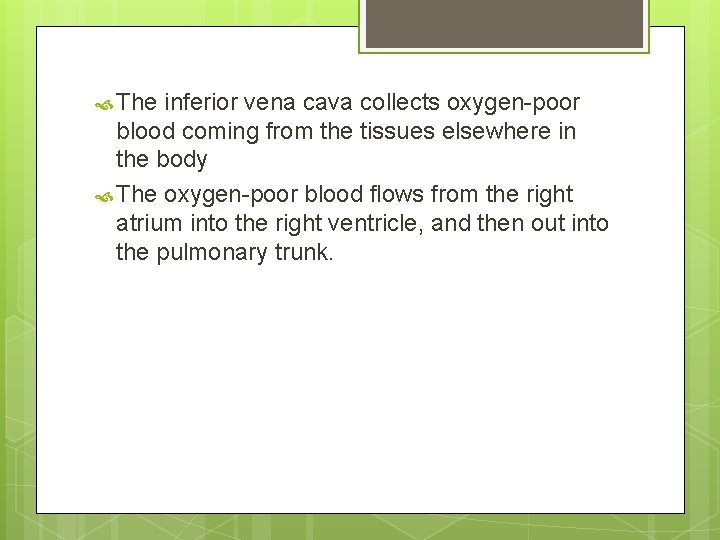  The inferior vena cava collects oxygen-poor blood coming from the tissues elsewhere in