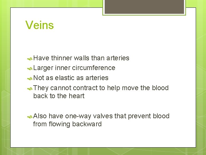 Veins Have thinner walls than arteries Larger inner circumference Not as elastic as arteries