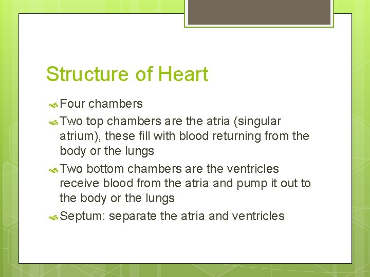 Structure of Heart Four chambers Two top chambers are the atria (singular atrium), these