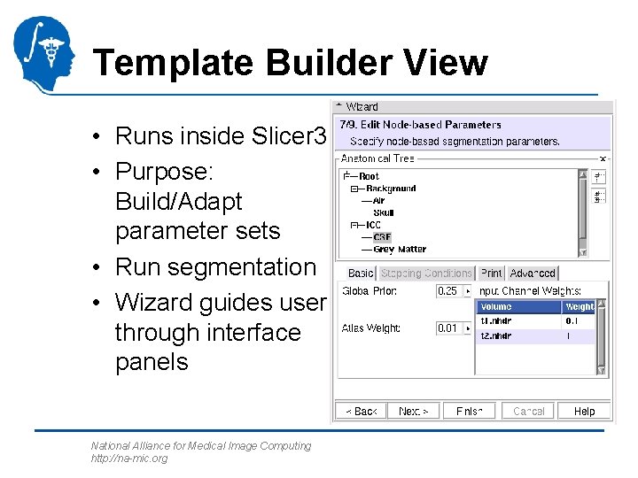 Template Builder View • Runs inside Slicer 3 • Purpose: Build/Adapt parameter sets •