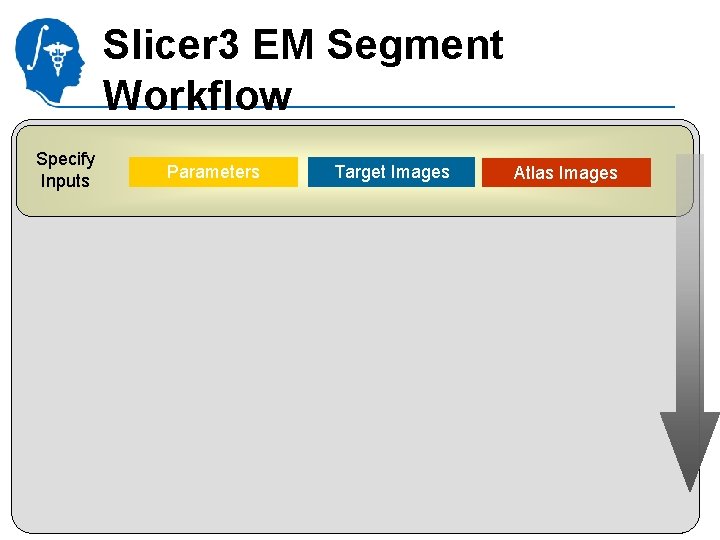 Slicer 3 EM Segment Workflow Specify Inputs Parameters Target Images National Alliance for Medical