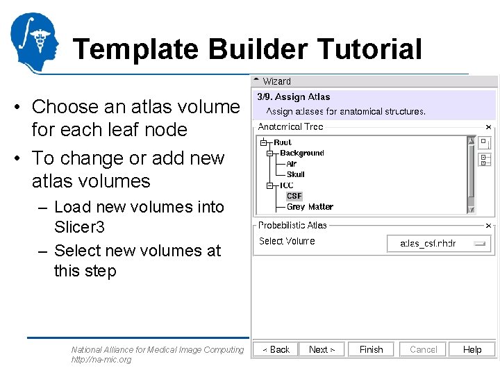 Template Builder Tutorial • Choose an atlas volume for each leaf node • To