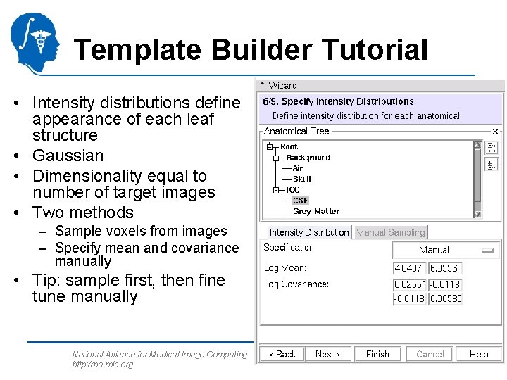 Template Builder Tutorial • Intensity distributions define appearance of each leaf structure • Gaussian