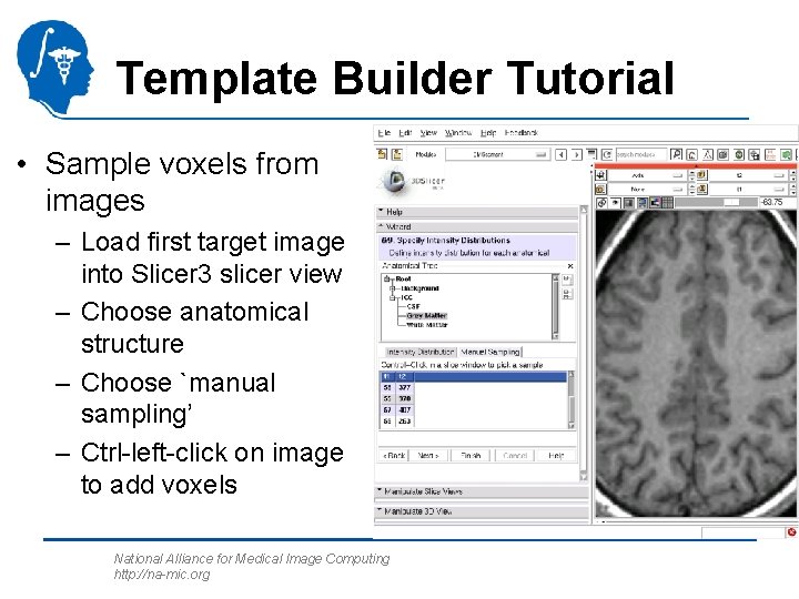 Template Builder Tutorial • Sample voxels from images – Load first target image into