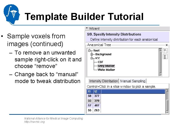 Template Builder Tutorial • Sample voxels from images (continued) – To remove an unwanted