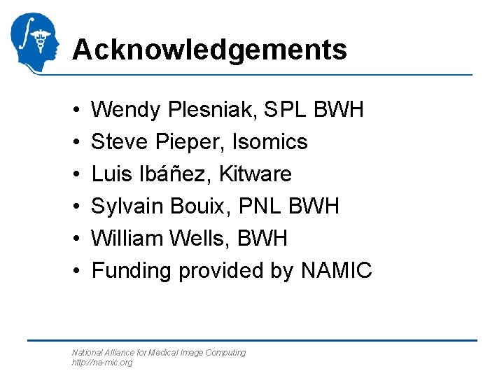 Acknowledgements • • • Wendy Plesniak, SPL BWH Steve Pieper, Isomics Luis Ibáñez, Kitware