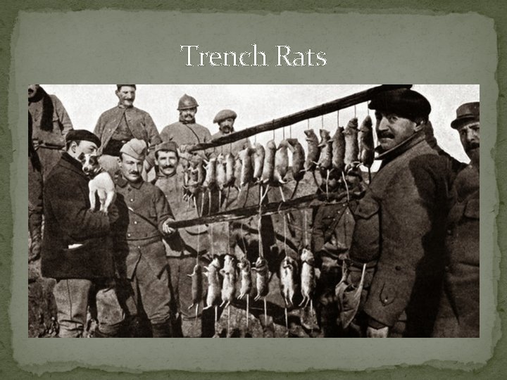 Trench Rats 