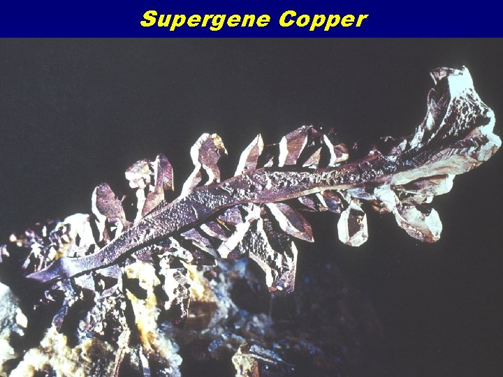 Supergene Copper 