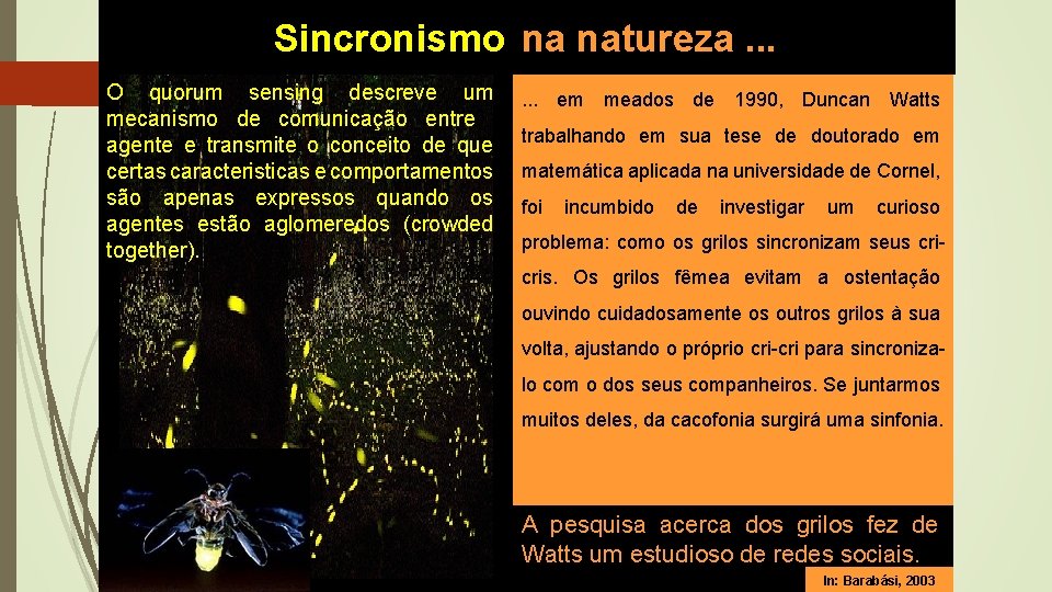 Sincronismo na natureza. . . O quorum sensing descreve um mecanismo de comunicação entre Sincronismo na natureza. . . O quorum sensing descreve um mecanismo de comunicação entre