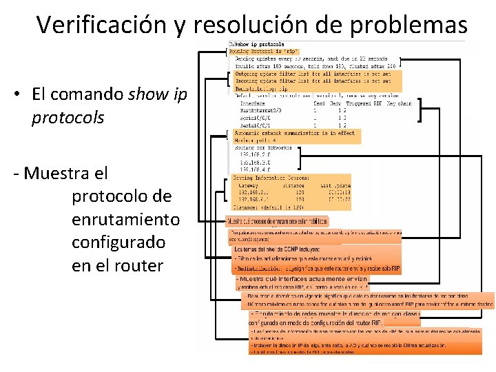 Verificación y resolución de problemas • El comando show ip protocols - Muestra el