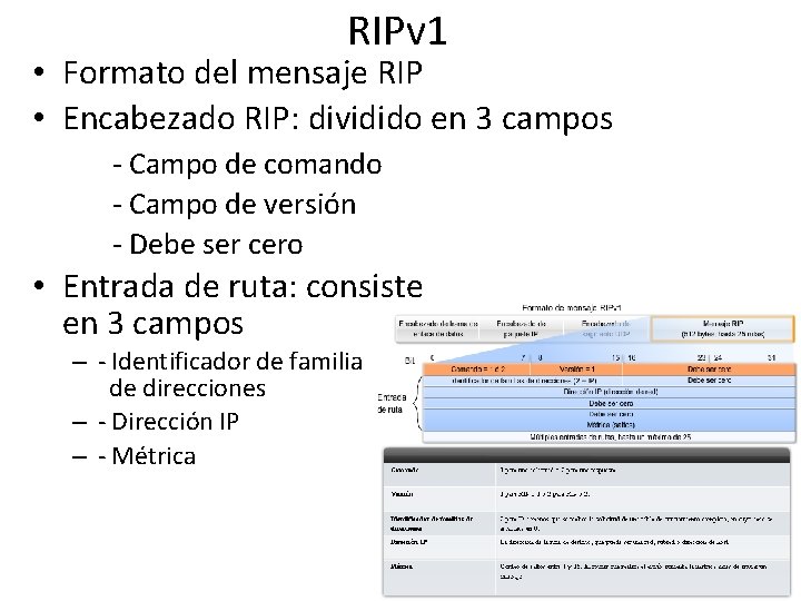 RIPv 1 • Formato del mensaje RIP • Encabezado RIP: dividido en 3 campos