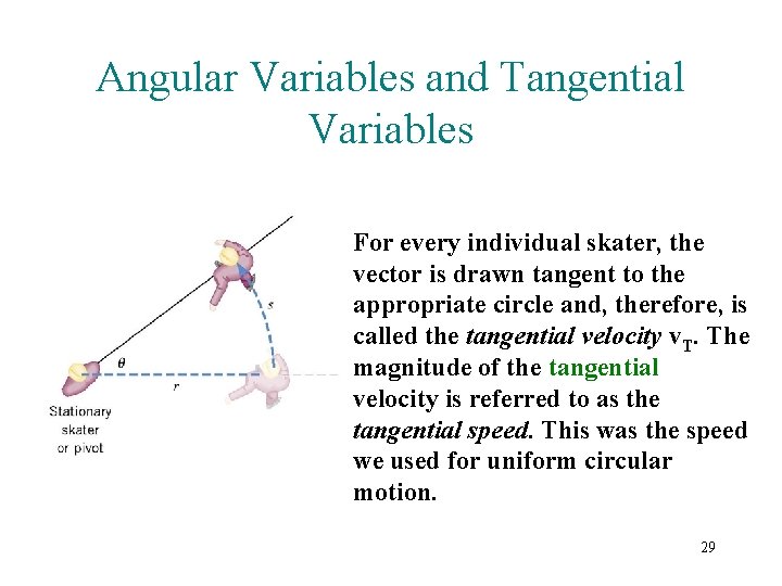Angular Variables and Tangential Variables For every individual skater, the vector is drawn tangent