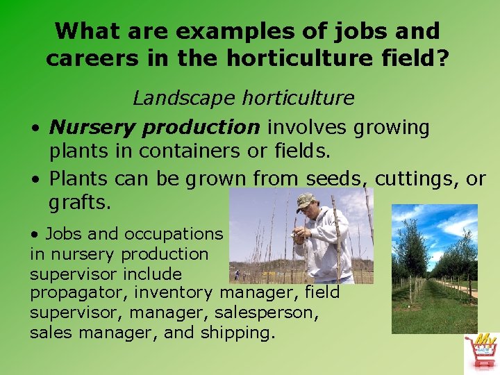 Проучване на възможности за кариера в градинарството