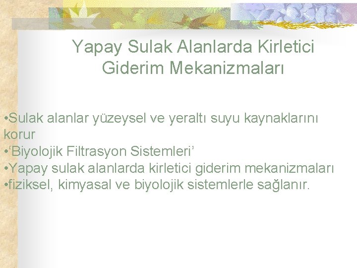 Yapay Sulak Alanlarda Kirletici Giderim Mekanizmaları • Sulak alanlar yüzeysel ve yeraltı suyu kaynaklarını