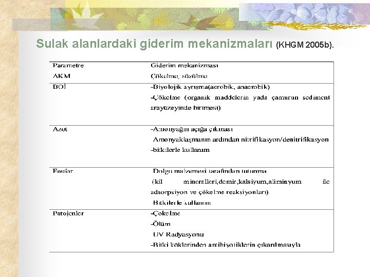 Sulak alanlardaki giderim mekanizmaları (KHGM 2005 b). 