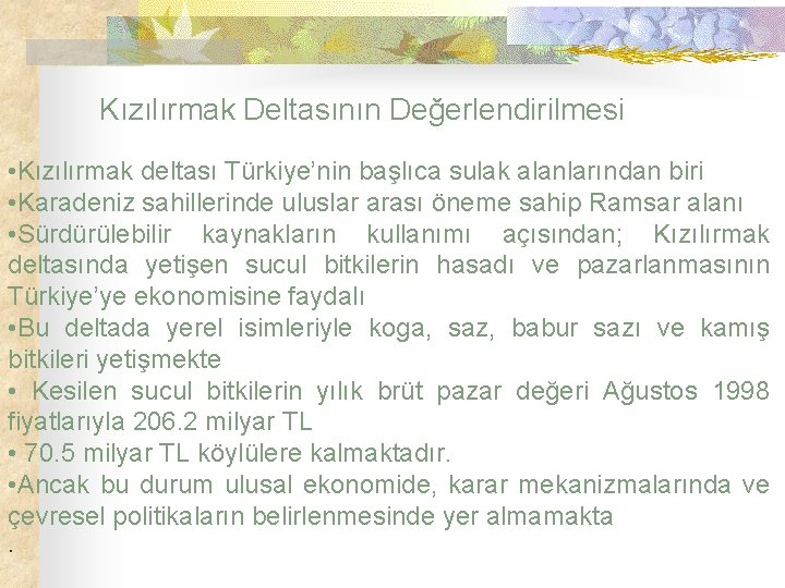 Kızılırmak Deltasının Değerlendirilmesi • Kızılırmak deltası Türkiye’nin başlıca sulak alanlarından biri • Karadeniz sahillerinde