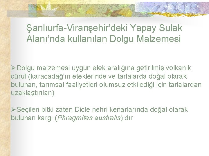 Şanlıurfa-Viranşehir’deki Yapay Sulak Alanı’nda kullanılan Dolgu Malzemesi ØDolgu malzemesi uygun elek aralığına getirilmiş volkanik