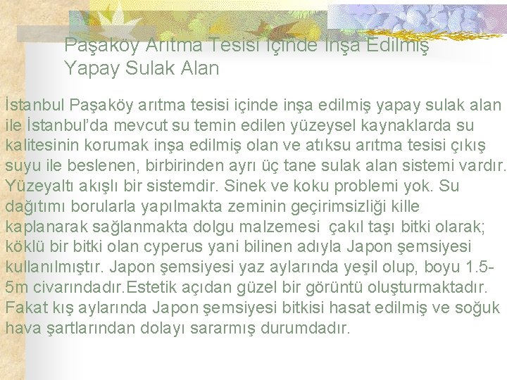 Paşaköy Arıtma Tesisi İçinde İnşa Edilmiş Yapay Sulak Alan İstanbul Paşaköy arıtma tesisi içinde