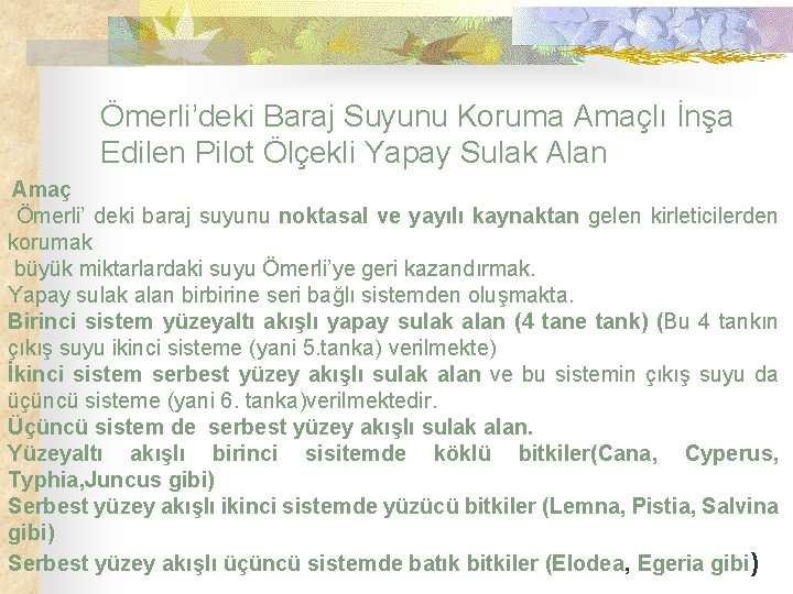 Ömerli’deki Baraj Suyunu Koruma Amaçlı İnşa Edilen Pilot Ölçekli Yapay Sulak Alan Amaç Ömerli’