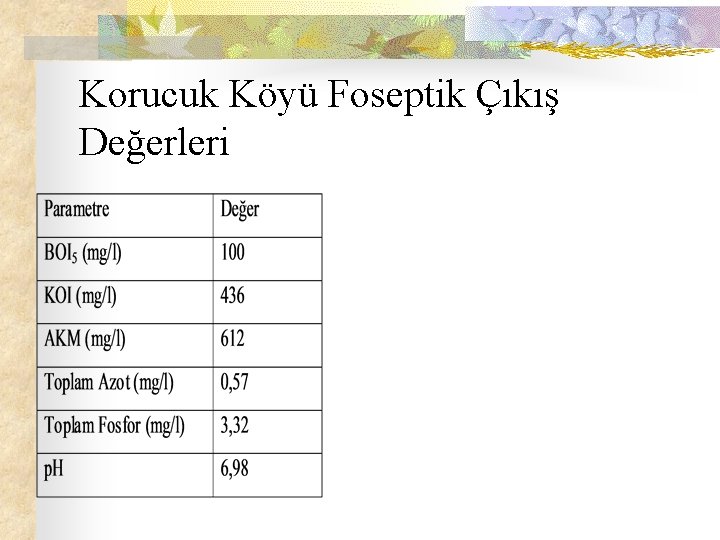 Korucuk Köyü Foseptik Çıkış Değerleri 