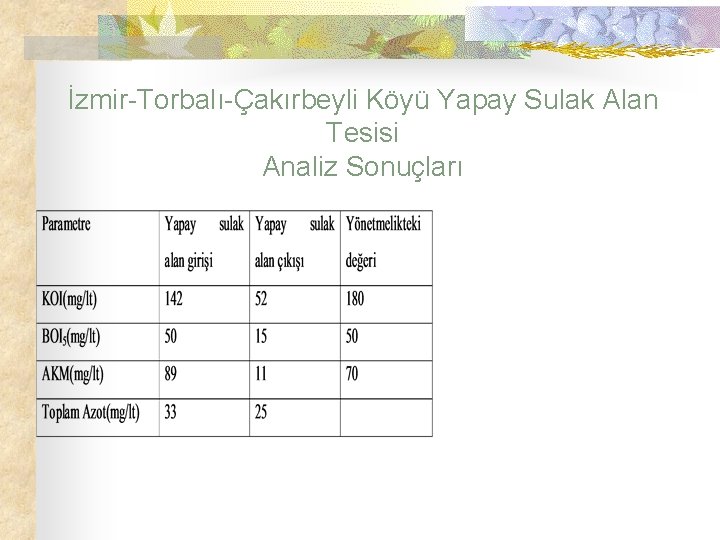 İzmir-Torbalı-Çakırbeyli Köyü Yapay Sulak Alan Tesisi Analiz Sonuçları 