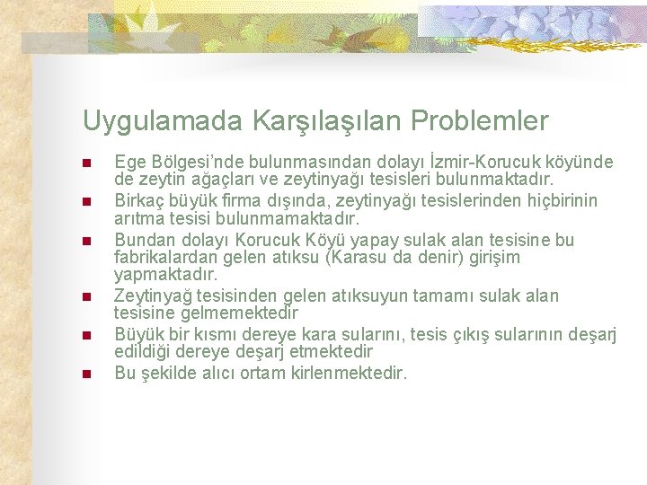 Uygulamada Karşılan Problemler n n n Ege Bölgesi’nde bulunmasından dolayı İzmir-Korucuk köyünde de zeytin