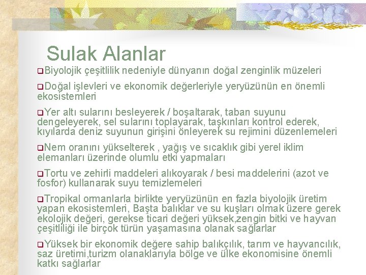 Sulak Alanlar q. Biyolojik çeşitlilik nedeniyle dünyanın doğal zenginlik müzeleri q. Doğal işlevleri ve