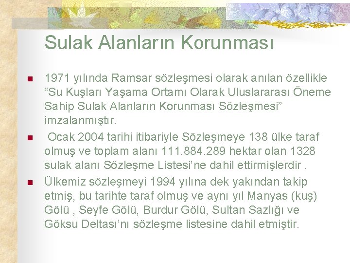 Sulak Alanların Korunması n n n 1971 yılında Ramsar sözleşmesi olarak anılan özellikle “Su