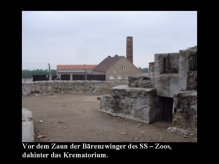 Vor dem Zaun der Bärenzwinger des SS – Zoos, dahinter das Krematorium. 