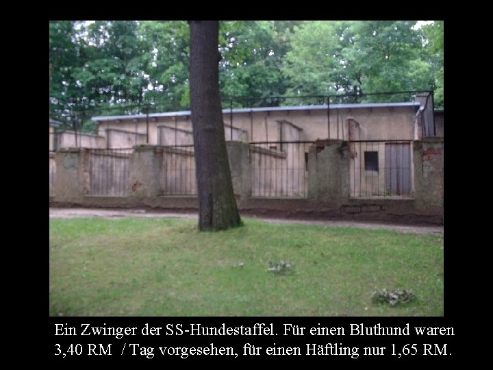 Ein Zwinger der SS-Hundestaffel. Für einen Bluthund waren 3, 40 RM / Tag vorgesehen,